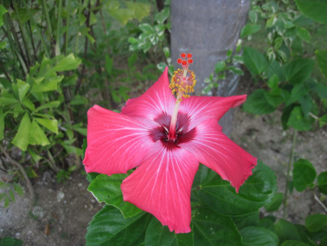 Name:  IMG_2907.jpg
Views: 584
Size:  86.0 KB