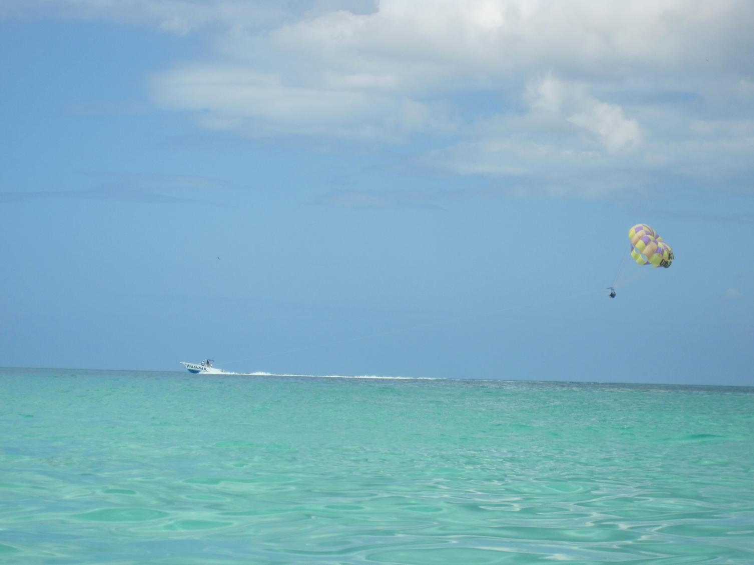 Name:  IMG_2988.jpg
Views: 474
Size:  84.5 KB
