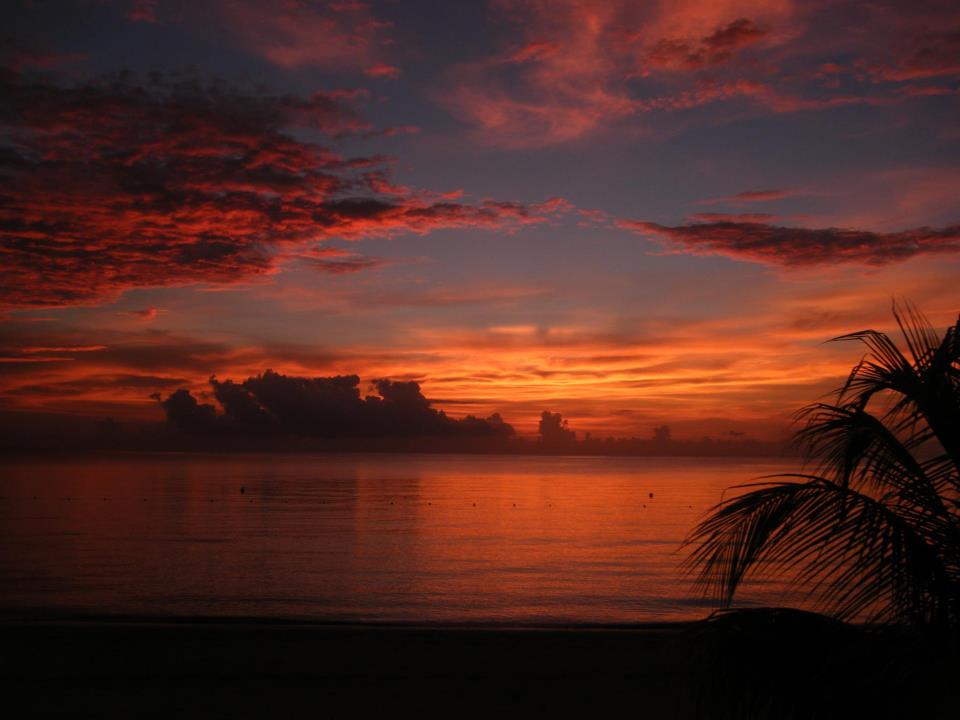 Name:  421147_10200129220064077_97341156_n.jpg
Views: 1108
Size:  52.6 KB