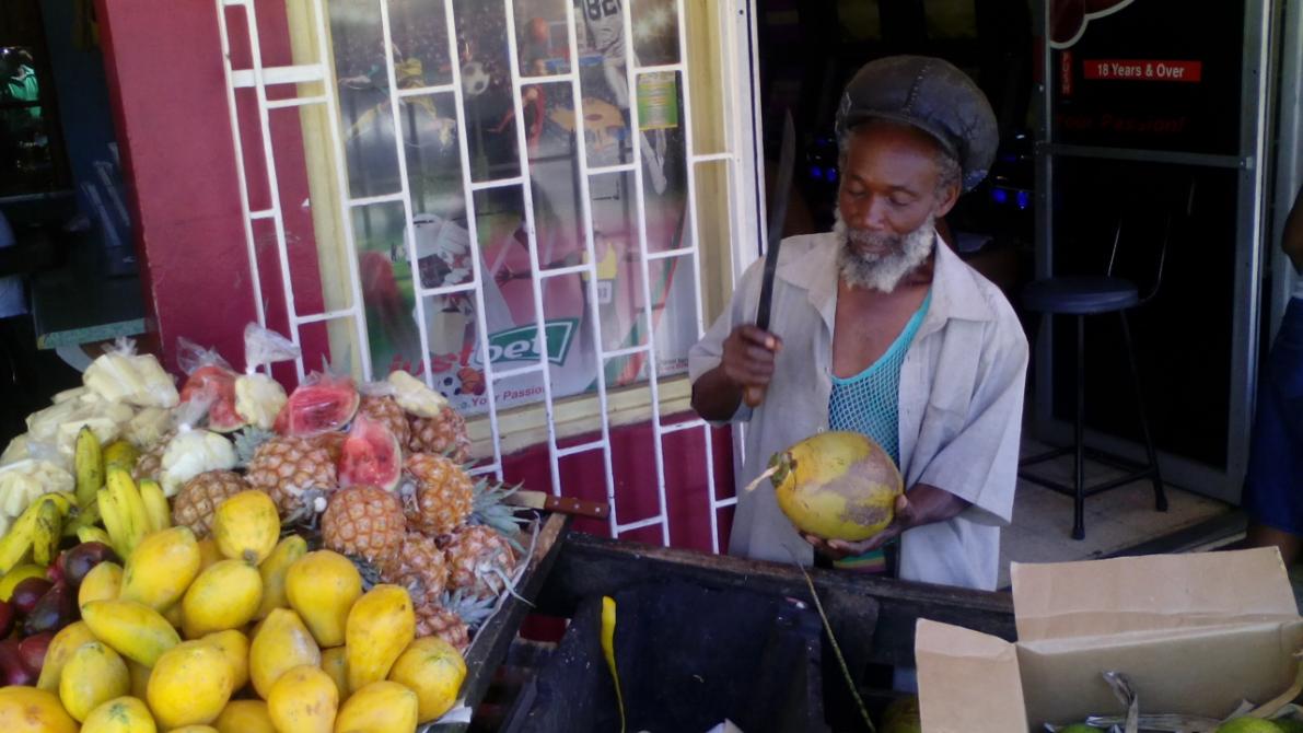 Name:  Luxurious Carib Tours Jamaica, kingston jamaica, jelly coconut and fresh fruits, www.luxuriousca.jpg
Views: 138
Size:  93.7 KB