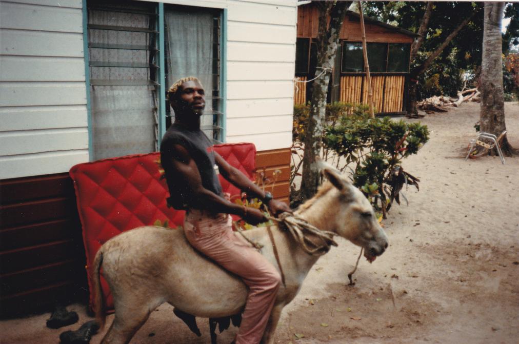 Name:  Wilbur at Miss G's.jpg
Views: 421
Size:  95.3 KB