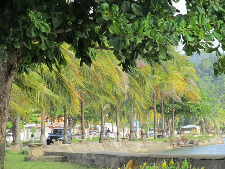 Name:  swaying trees1.jpg
Views: 854
Size:  100.1 KB