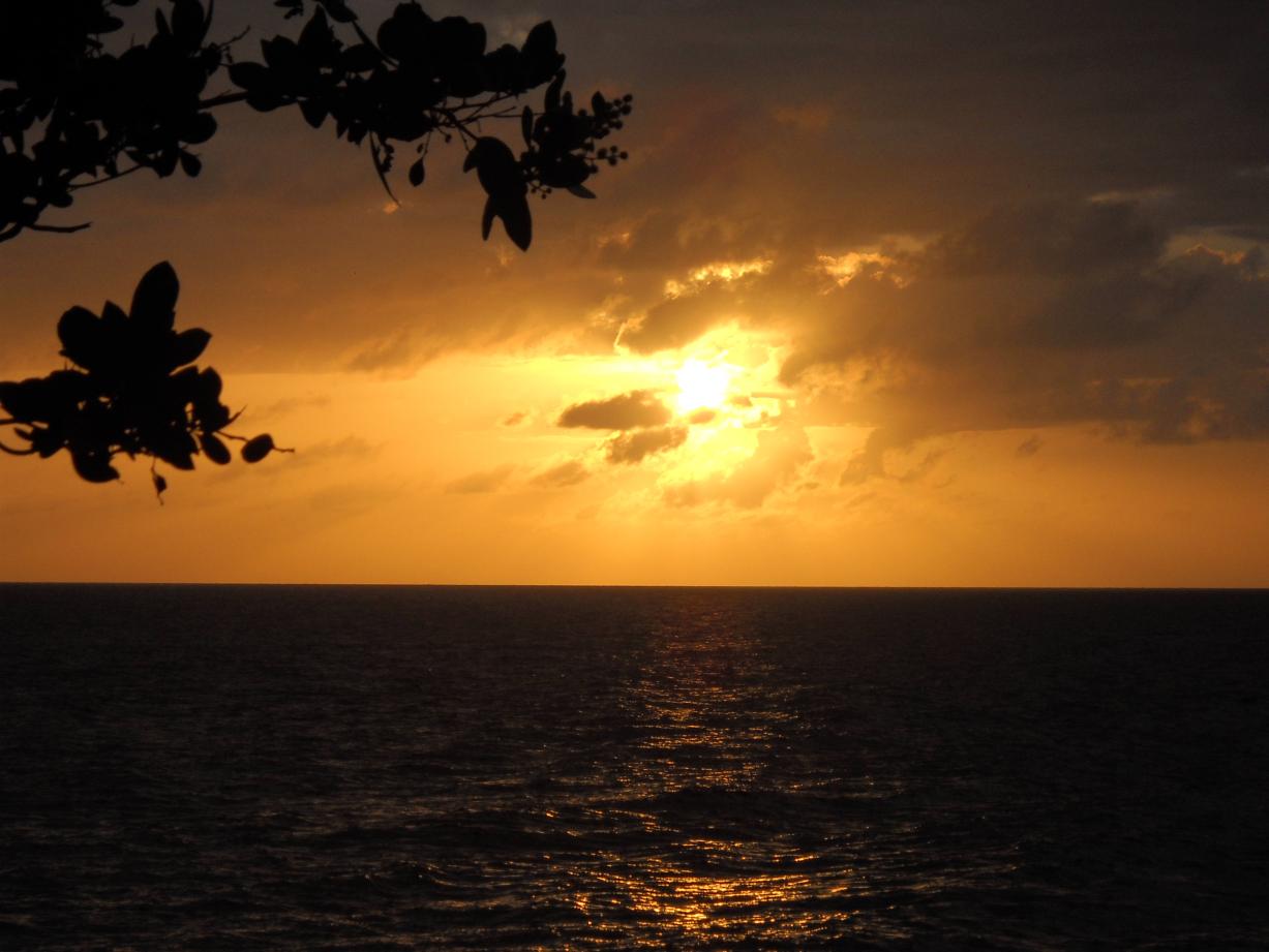 Name:  DSCN0178.jpg
Views: 1303
Size:  85.6 KB