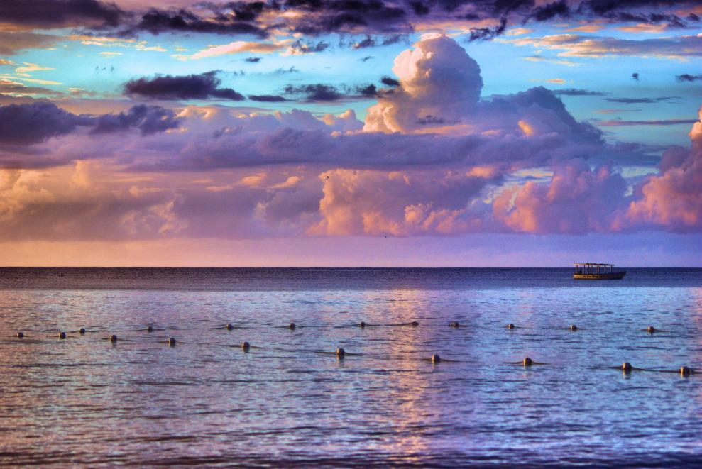 Name:  jamaica feb 2014 017hgh.jpg
Views: 1226
Size:  95.7 KB