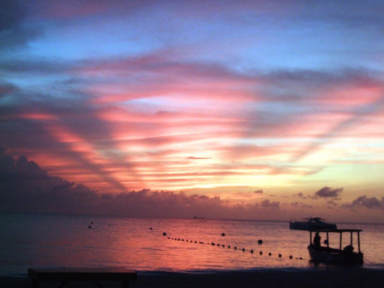Name:  Jamaica June 2010 038.jpg
Views: 1262
Size:  89.7 KB
