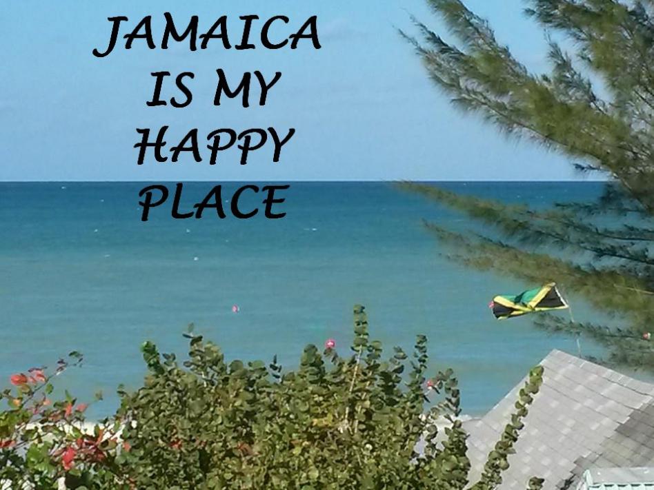 Name:  happy place.jpg
Views: 230
Size:  90.3 KB
