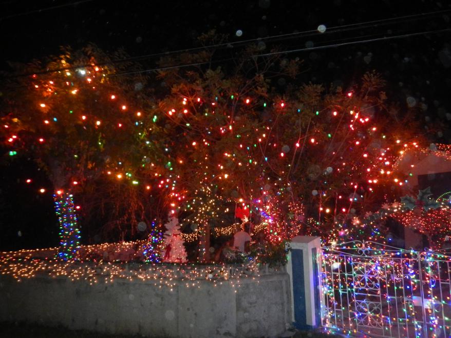 Name:  DSCN2251.jpg
Views: 929
Size:  95.3 KB