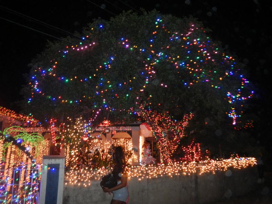 Name:  DSCN2253.jpg
Views: 990
Size:  94.8 KB