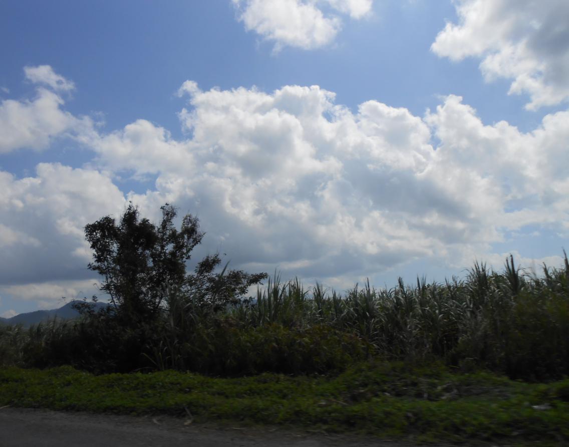 Name:  JA 2015 227.jpg
Views: 868
Size:  83.2 KB