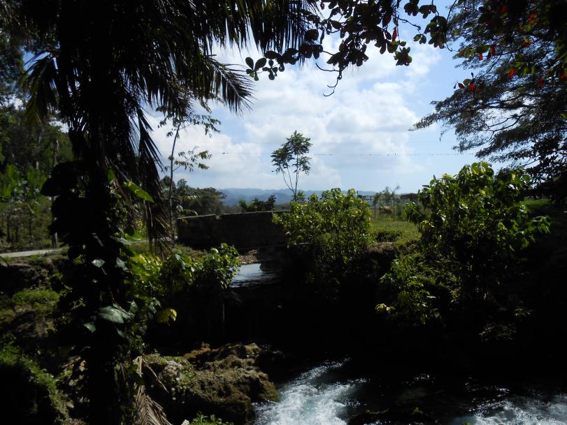 Name:  JA 2015 273.jpg
Views: 794
Size:  98.0 KB
