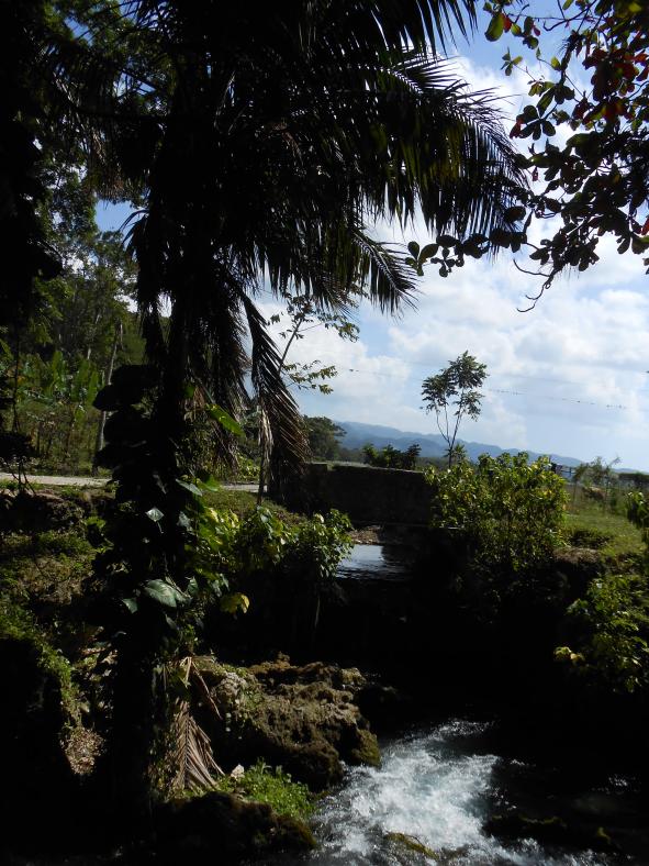 Name:  JA 2015 274.jpg
Views: 751
Size:  98.1 KB
