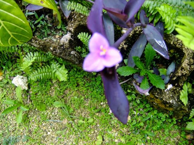 Name:  upload_-1.jpg
Views: 466
Size:  78.4 KB