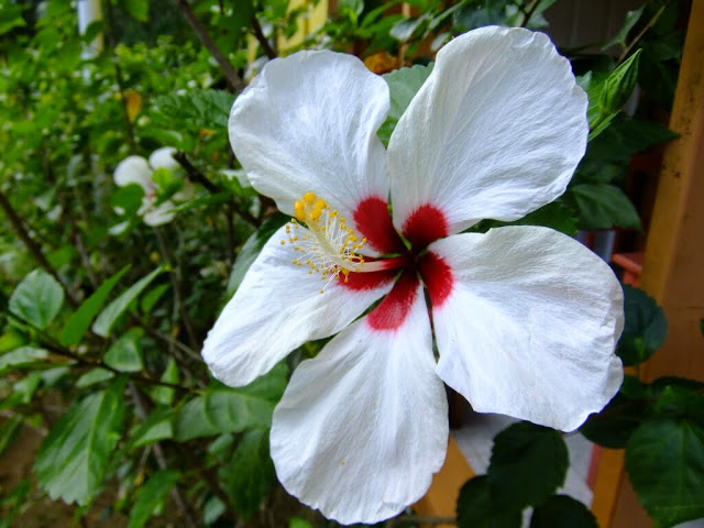 Name:  upload_-1.jpg
Views: 464
Size:  82.3 KB