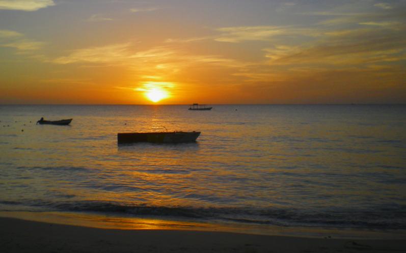 Name:  Sunset Nov10.jpg
Views: 477
Size:  35.3 KB