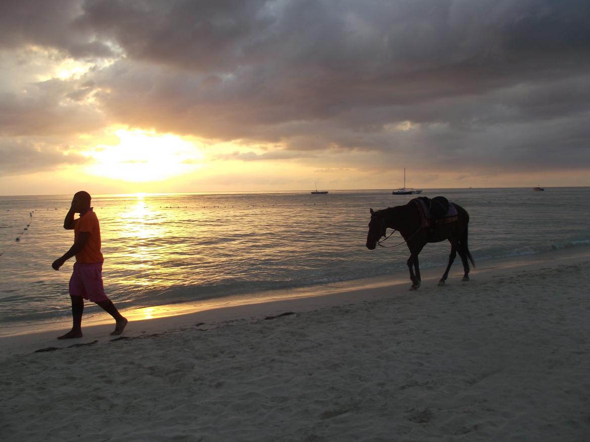 Name:  Jamaica 2011 265.jpg
Views: 1600
Size:  87.9 KB