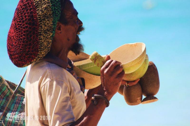 Name:  CalabashA.jpg
Views: 359
Size:  56.7 KB