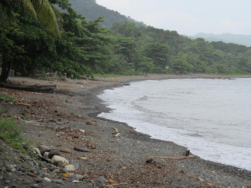 Name:  blacksand.jpg
Views: 761
Size:  96.2 KB