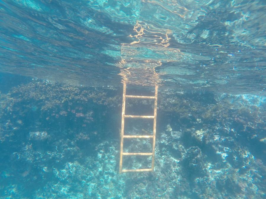 Name:  Orange ladder.jpg
Views: 515
Size:  95.5 KB