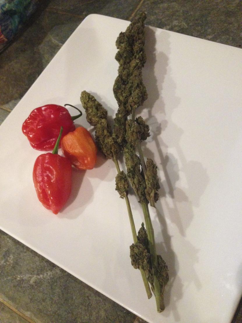 Name:  Herbs and Spices.jpg
Views: 407
Size:  94.0 KB