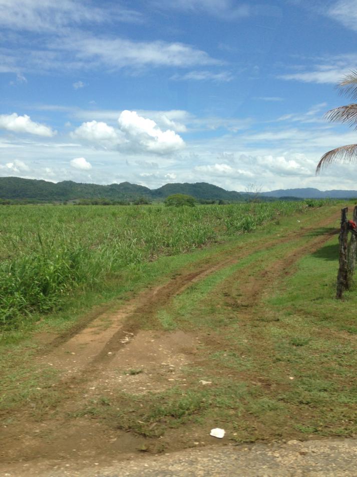 Name:  country road.jpg
Views: 358
Size:  94.3 KB