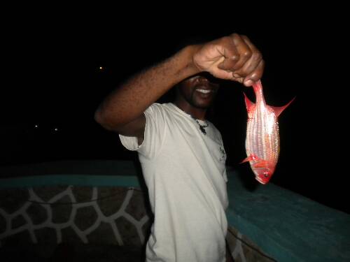 Name:  Jamaica 2010 photos (729).jpg
Views: 262
Size:  15.7 KB
