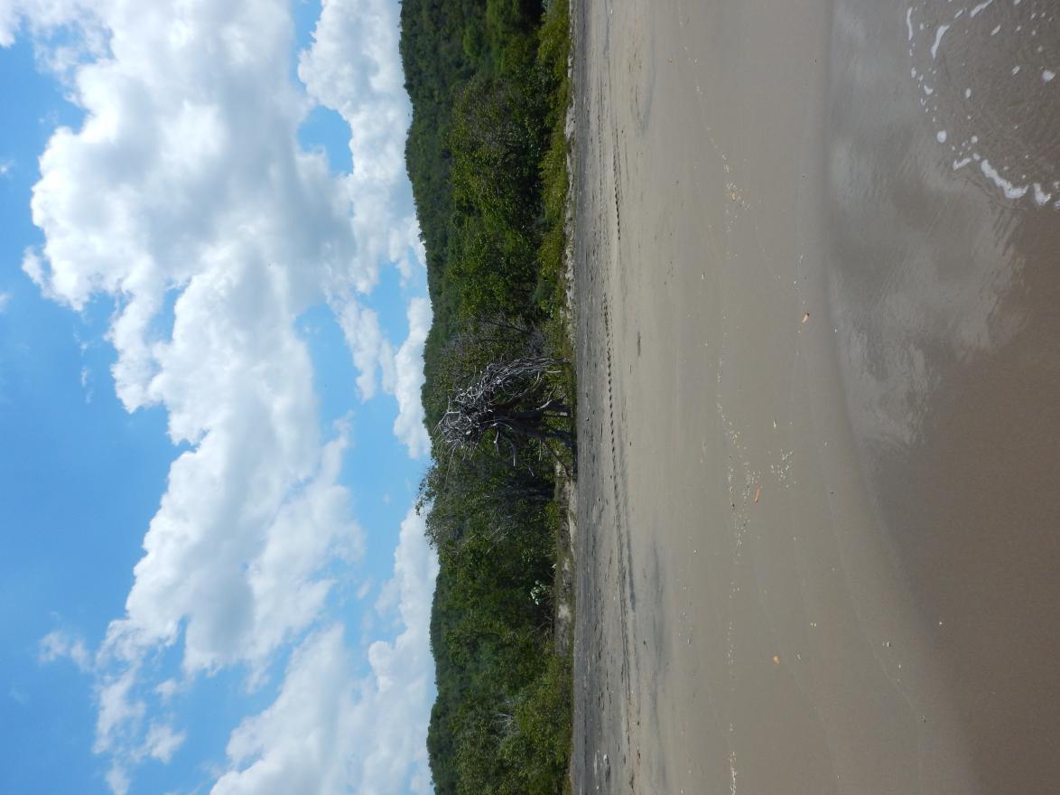 Name:  DSCN0037.jpg
Views: 1230
Size:  90.5 KB