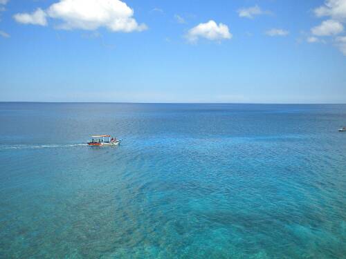 Name:  Jamaica 2010 photos (314).jpg
Views: 451
Size:  21.8 KB