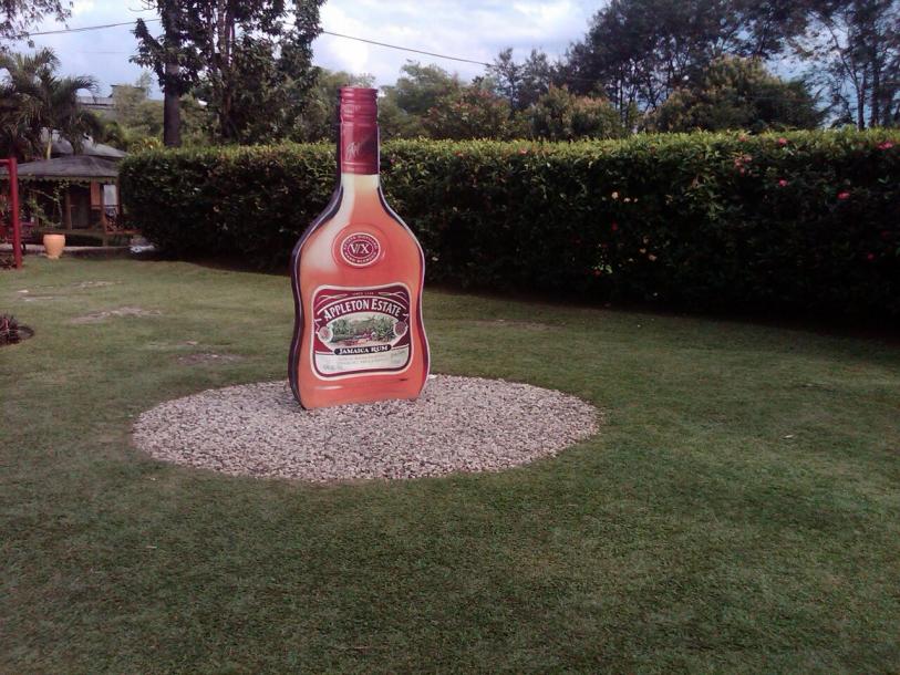 Name:  Appleton Estate Rum Tour.jpg
Views: 431
Size:  97.7 KB