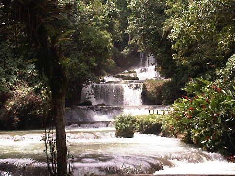 Name:  YS Falls.jpg
Views: 444
Size:  54.6 KB