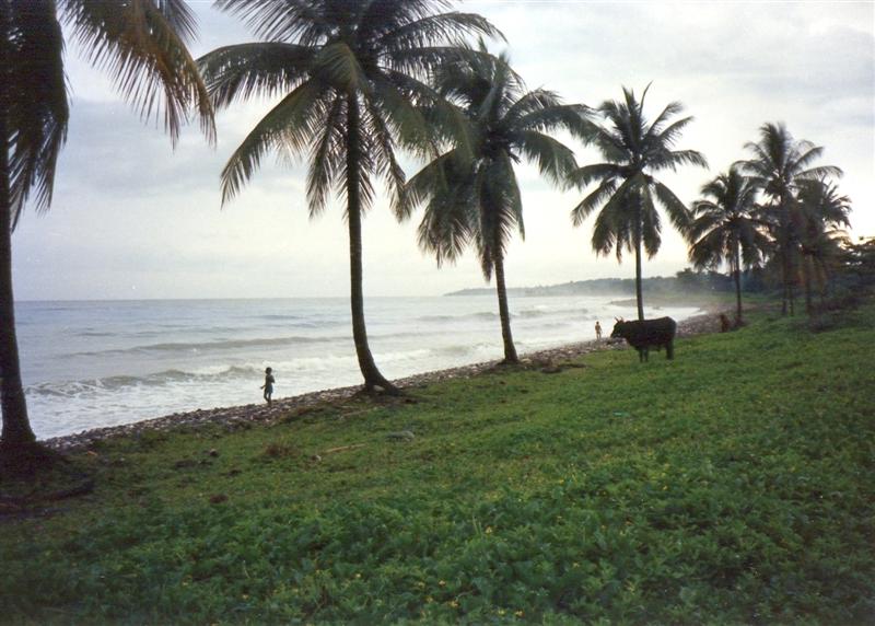 Name:  Zanadu.JPG
Views: 435
Size:  74.5 KB
