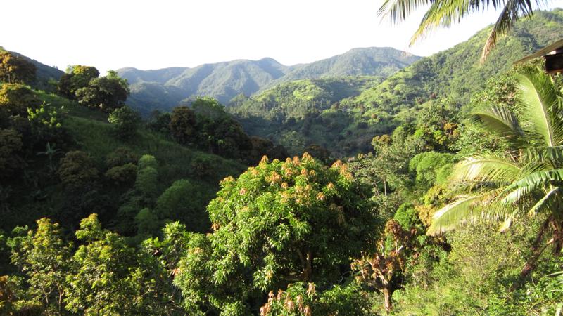 Name:  Mountains.JPG
Views: 426
Size:  96.1 KB