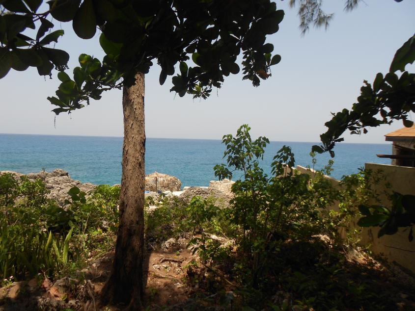 Name:  DSCN2138.jpg
Views: 544
Size:  96.8 KB