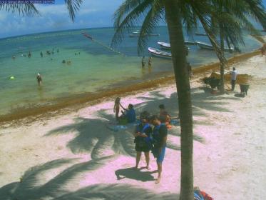 Name:  akumal..jpg
Views: 979
Size:  18.9 KB