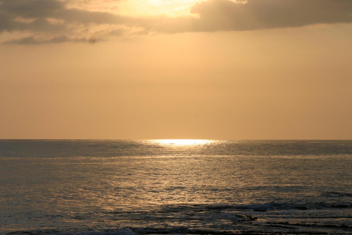 Name:  IMG_3156.jpg
Views: 727
Size:  94.8 KB