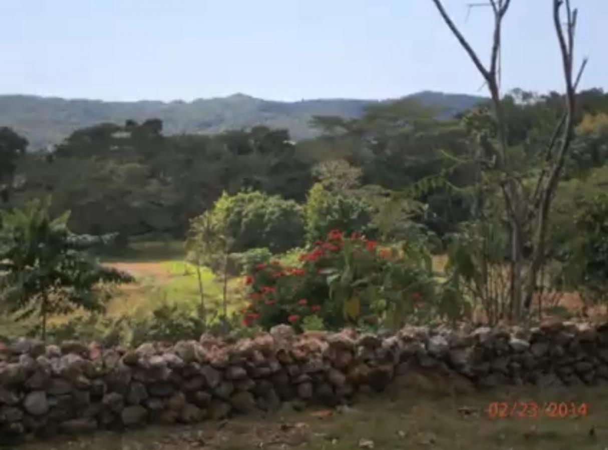 Name:  Capture.jpg
Views: 394
Size:  76.5 KB