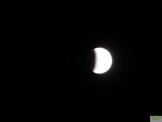 Name:  IMG_0027 (Copy) (Copy).JPG
Views: 283
Size:  20.4 KB