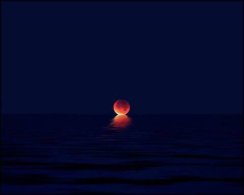 Name:  000suneclipse.jpg
Views: 245
Size:  12.1 KB
