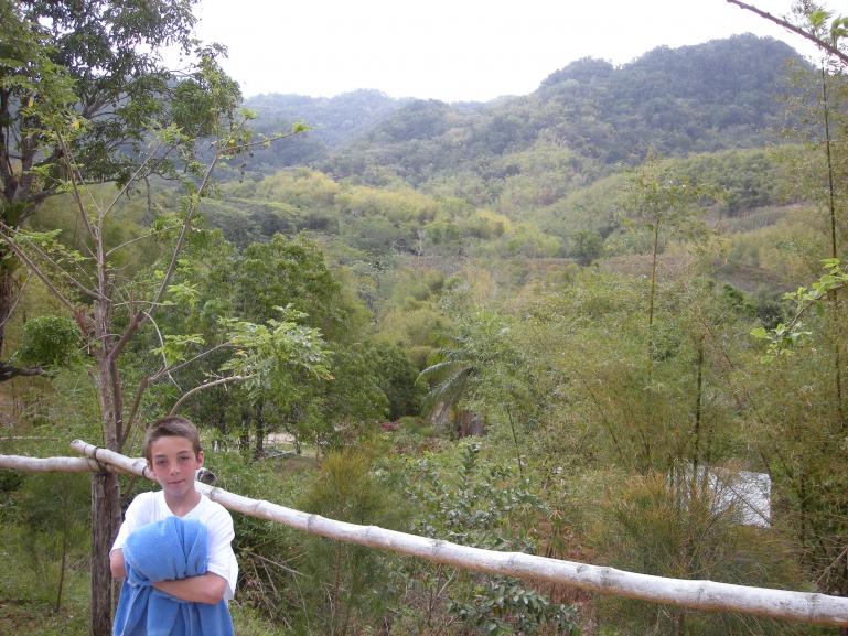Name:  Jamaica 134.jpg
Views: 295
Size:  97.9 KB