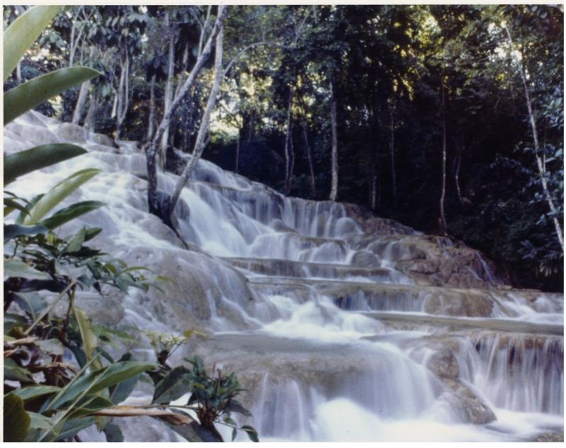 Name:  Dunn's River Falls.jpg
Views: 1146
Size:  80.0 KB