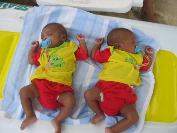 Name:  twins.jpg
Views: 433
Size:  41.9 KB
