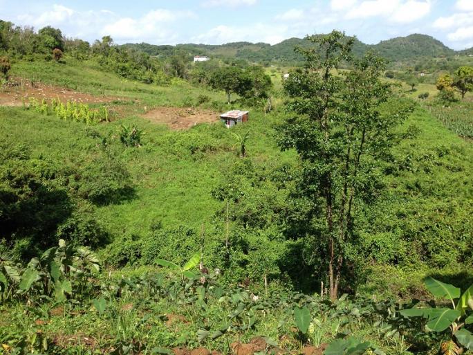 Name:  resizeFarm.jpg
Views: 335
Size:  102.9 KB