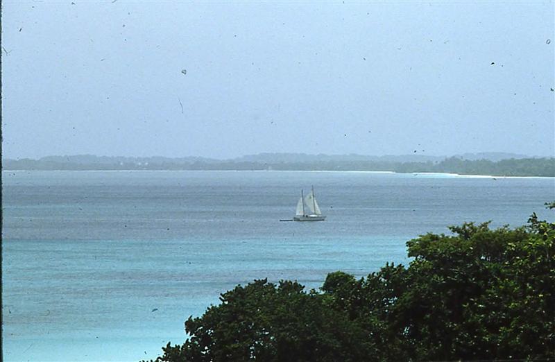Name:  Negril Beachline.JPG
Views: 339
Size:  52.6 KB