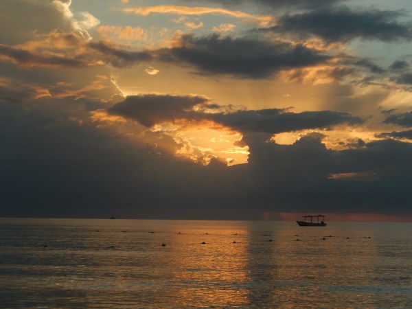 Name:  DSCN7062.jpg
Views: 653
Size:  46.3 KB