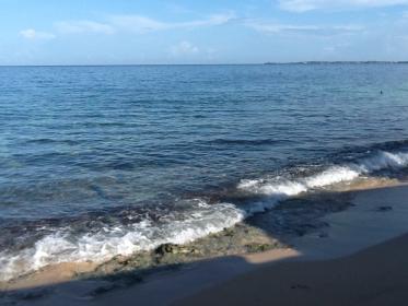 Name:  image.jpg
Views: 1048
Size:  16.6 KB