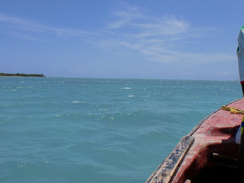 Name:  Jamaica 2011 123 (Copy).JPG
Views: 294
Size:  84.3 KB