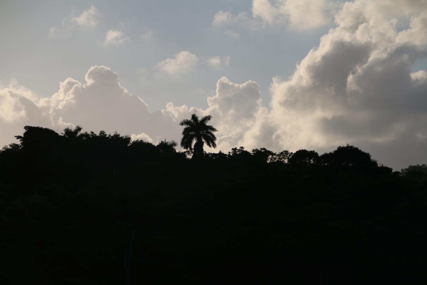 Name:  IMG_7471.jpg
Views: 3580
Size:  72.7 KB