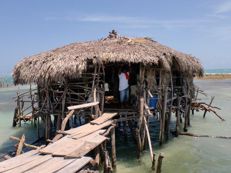 Name:  Jamaica 2011 127 (Copy).jpg
Views: 298
Size:  77.7 KB