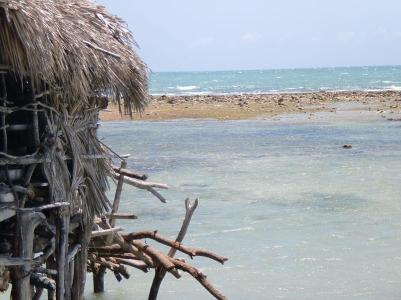 Name:  Jamaica 2011 129 (Copy).jpg
Views: 310
Size:  71.4 KB