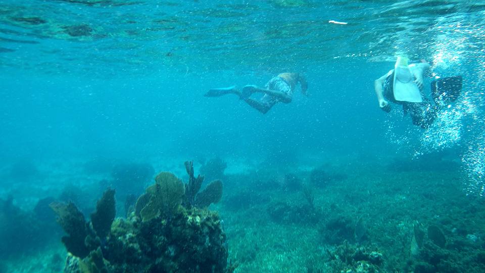 Name:  snorkeling vincent.jpg
Views: 330
Size:  63.3 KB