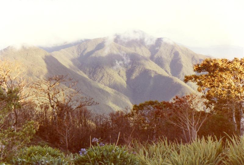 Name:  Blue Mountain Peak.JPG
Views: 3969
Size:  61.8 KB